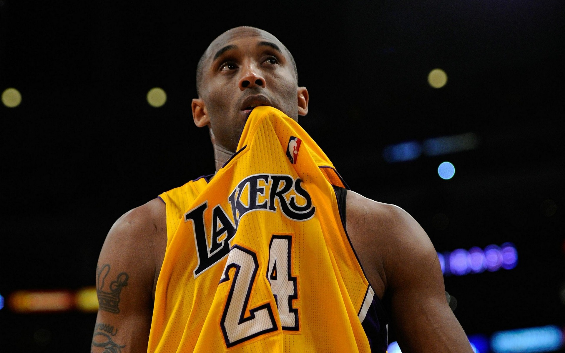 一的预测也 一的预测也